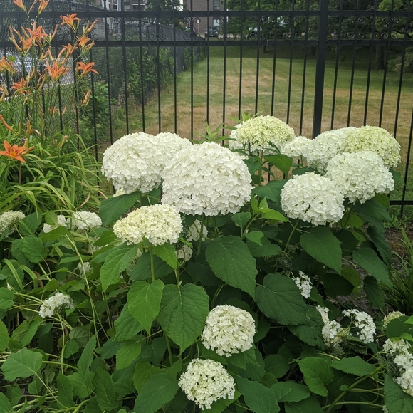 Meet your Posher, Nadia - Picture 3 of 5